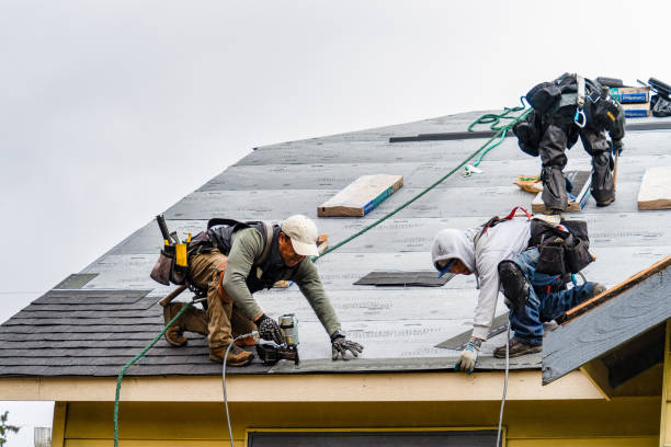 Professional Emergency Roof Repair technician working in Roberts, ID